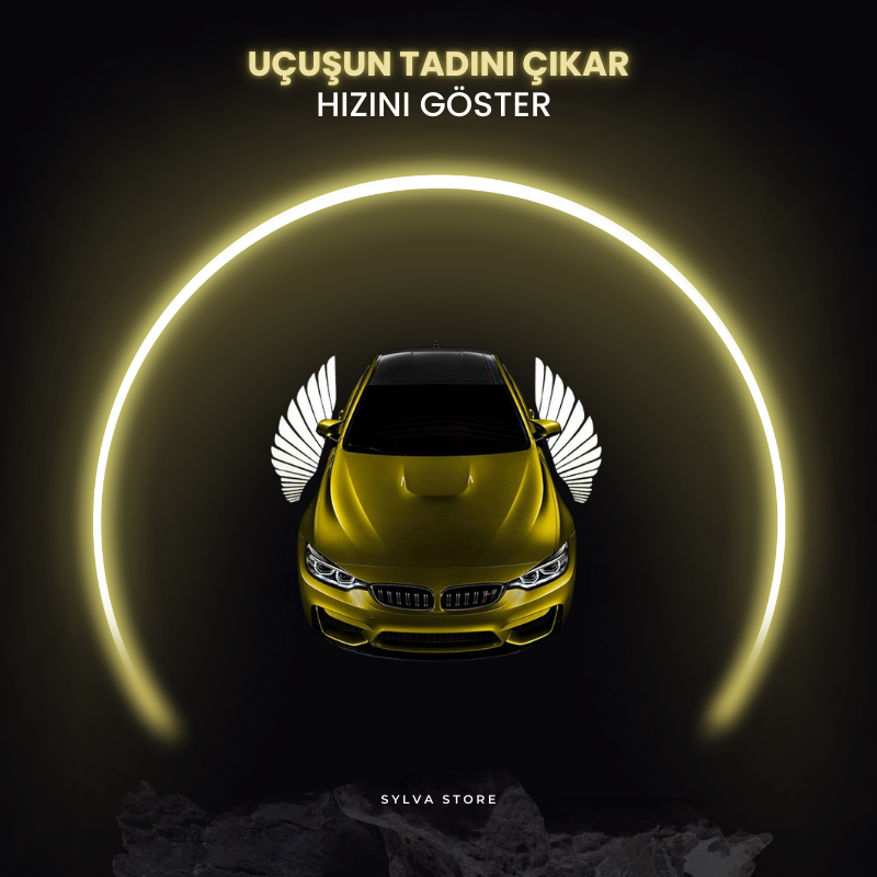 Melek Kanatlı Led Işığı