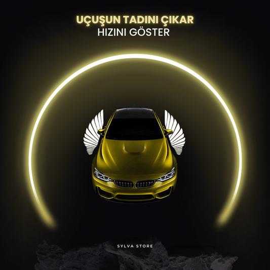 Melek Kanatlı Led Işığı